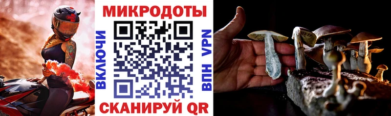 Галлюциногенные грибы мухоморы  продажа наркотиков  ссылка на мегу маркетплейс  Кимовск 