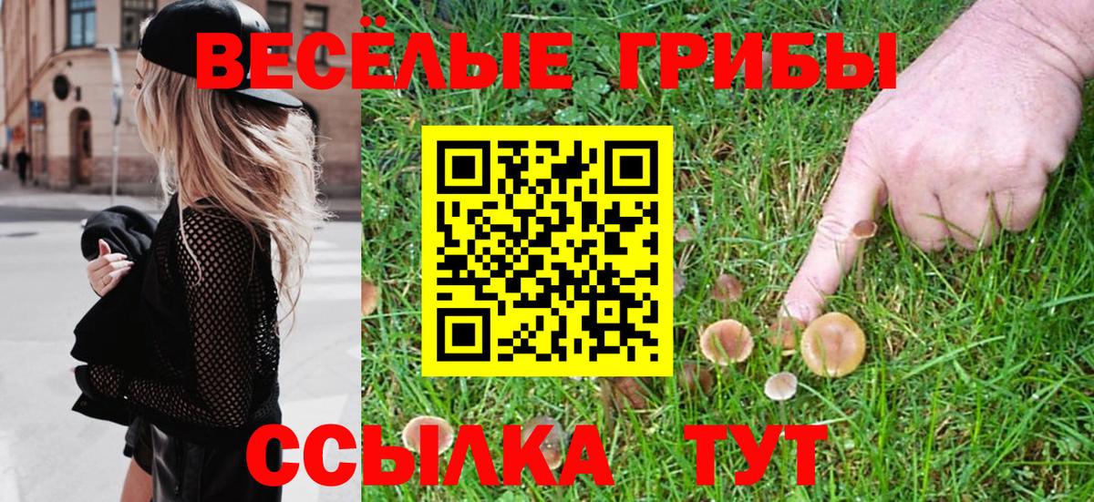 Галлюциногенные грибы MAGIC MUSHROOMS  Кимовск  Галлюциногенные грибы Cubensis 