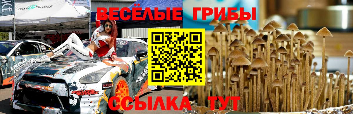 Галлюциногенные грибы Psilocybine cubensis Кимовск